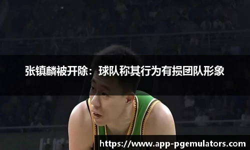张镇麟被开除：球队称其行为有损团队形象