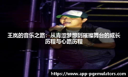 王岚的音乐之路：从青涩梦想到璀璨舞台的成长历程与心路历程